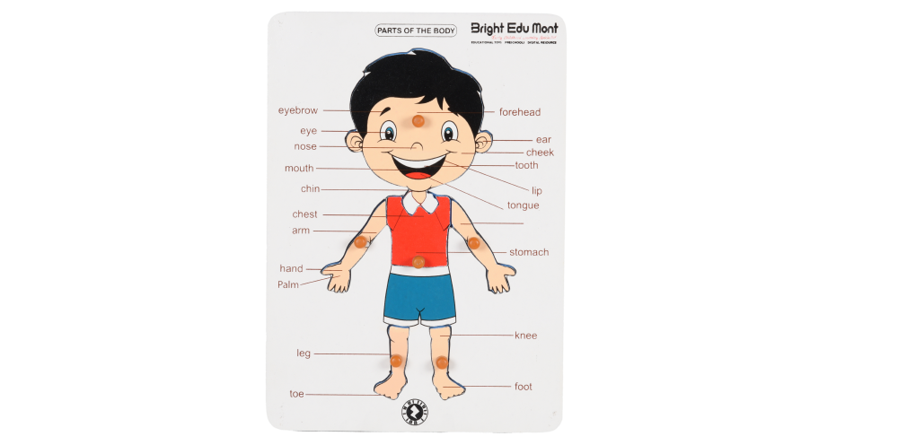 bright edu Mont